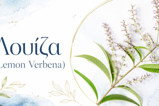 Λουίζα (Lemon Verbena): Ιδιότητες, Οφέλη και Χρήσεις